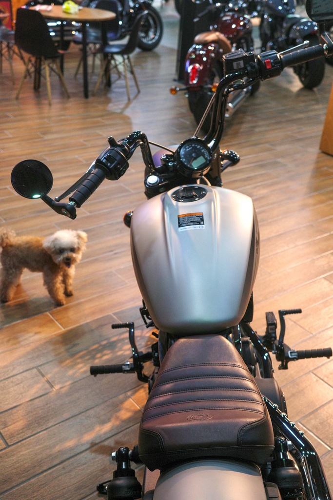 366335701_760378699431252_7364809624649512151_n.jpg (239 KB)